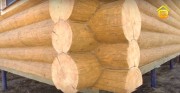 Видео как правильно построить деревянный сруб 